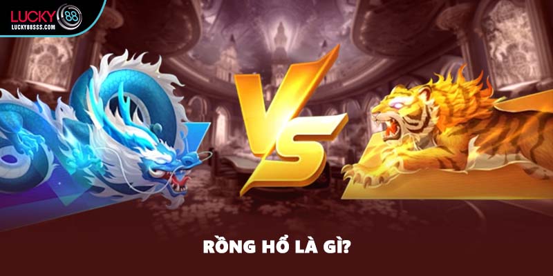 Rồng hổ là gì?