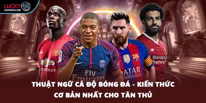 Thuật Ngữ Cá Độ Bóng Đá