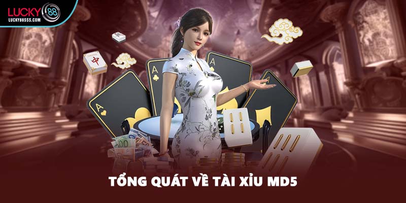 Tổng quát về tài xỉu MD5